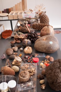 P1140557