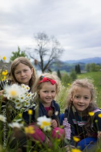 _DSC8328