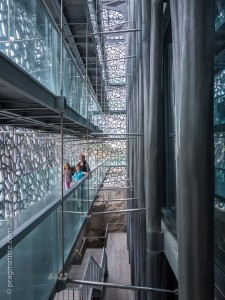 P1170539