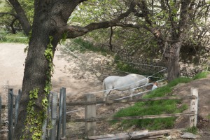 20150418-untitled-21