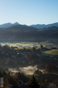 DSC00693