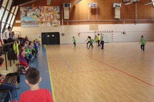 petits_muscles-_3_