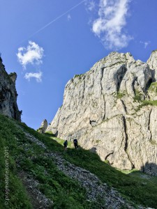 IMG_2302