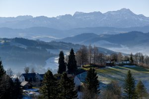 _D810623